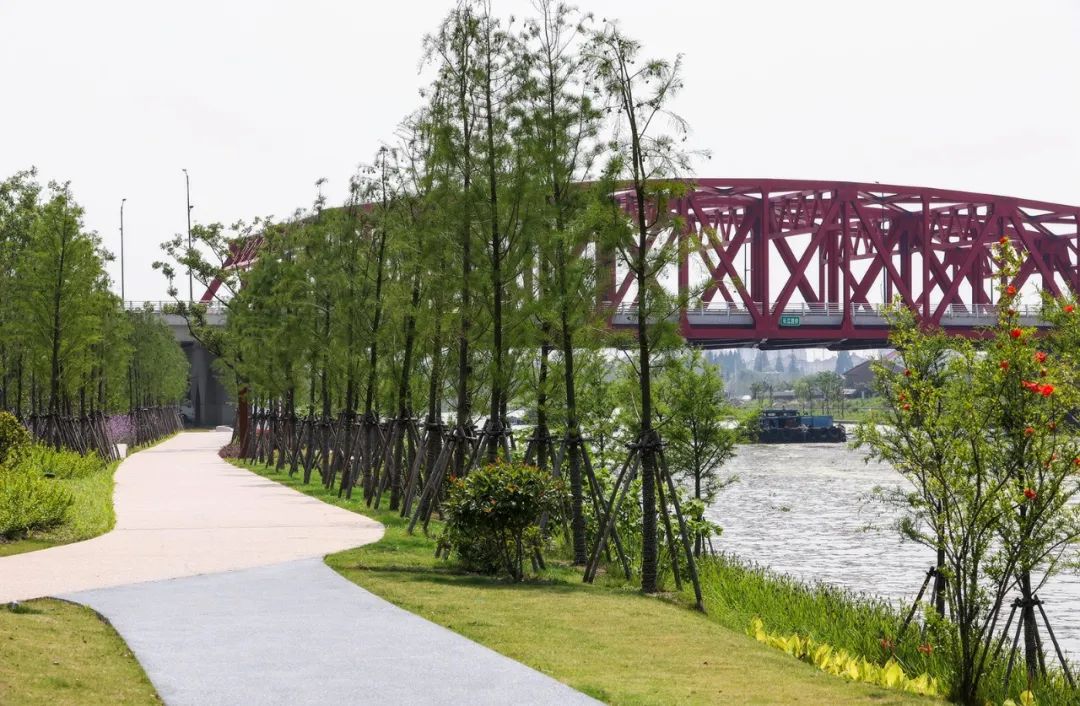 我市将锚固城市生态基底,依托市域主要河流水系,结合重要道路和交通廊