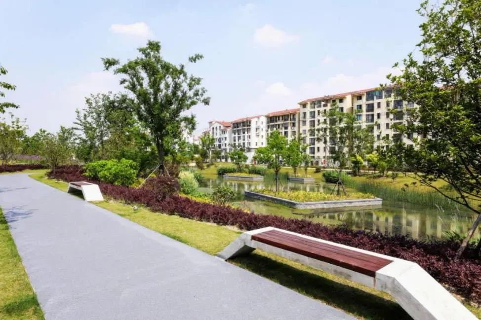 具有较高林木郁闭度的连贯的带状绿地,形成"七横四纵"的生态廊道网络